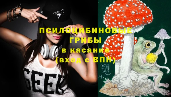 стаф Алексин
