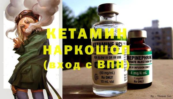 стаф Алексин