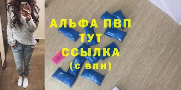 стаф Алексин