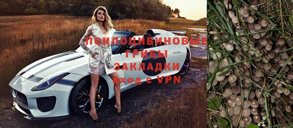 МДПВ Абаза