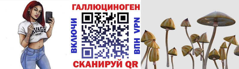 Галлюциногенные грибы прущие грибы Советский