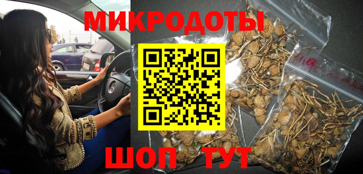 Советский  Псилоцибиновые грибы Psilocybine cubensis  Вход с VPN 