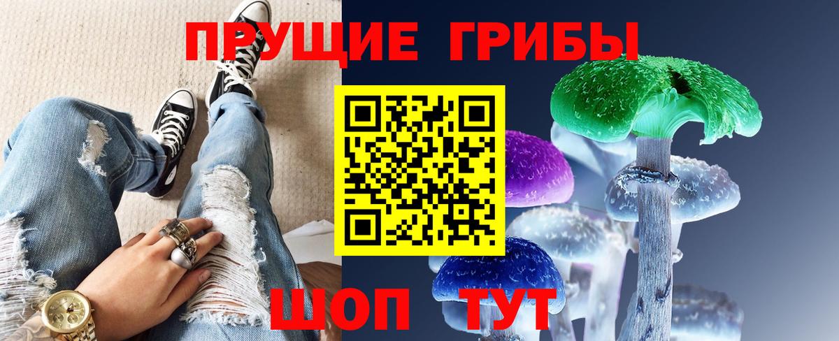 Псилоцибиновые грибы мицелий Советский